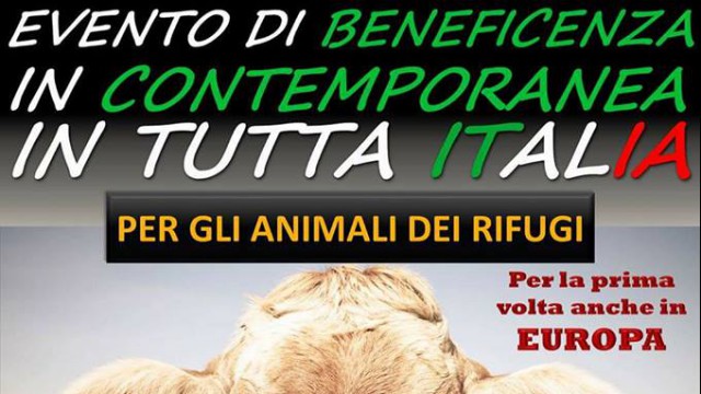 evento-di-beneficenza-per-gli-animali-dei-rifugi-foto-copertina